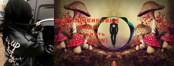 меф Бородино