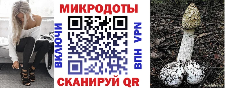 наркотики  Комсомольск  Галлюциногенные грибы Cubensis 