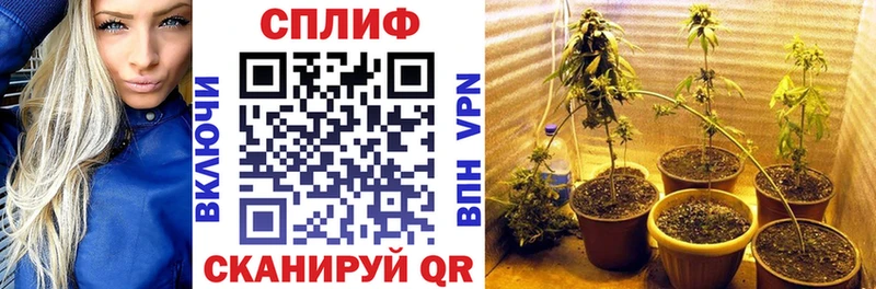 KRAKEN сайт  Комсомольск  Канабис конопля 